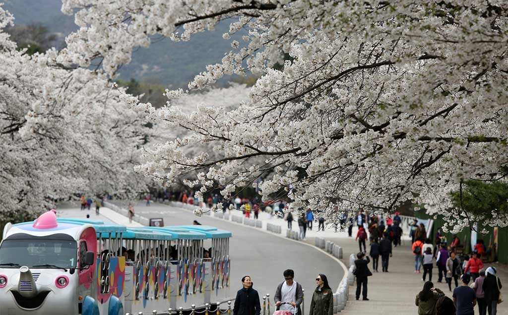 Seoul | Seoul Grand Park