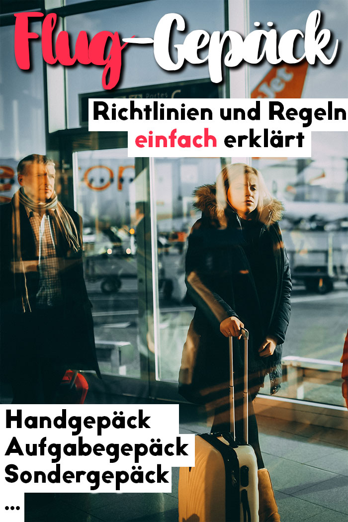 Flug-Gepäck Handgepäck Aufgabegepäck Sondergepäck-pin
